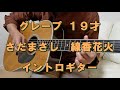 グレープ 19才 さだまさし 線香花火   ギターイントロ