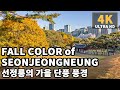 [4K] Seoul Autumn Walk in Seonjeongneung | 서울 선릉과 정릉의 가을 단풍 풍경 산책