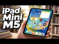 Apple iPad Mini M5 Leaks: Release Date, M5 Chip Power, and OLED!
