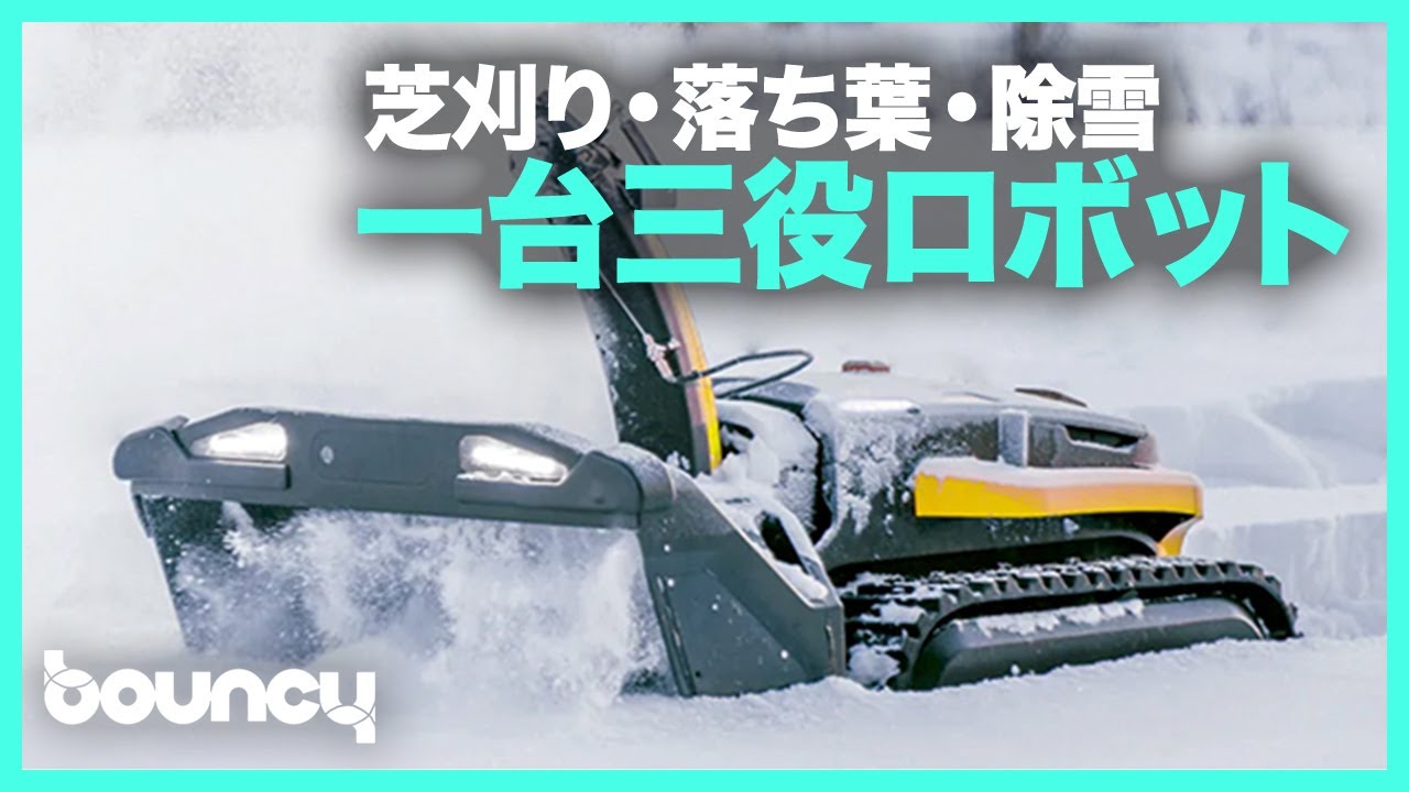 ラウハラ生葉\