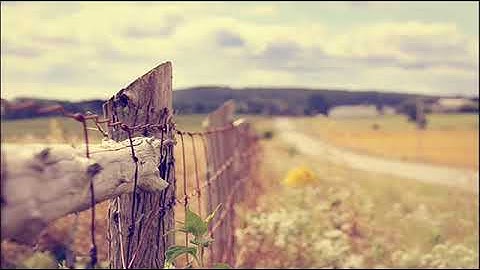 القارئ نسيم يعقوب