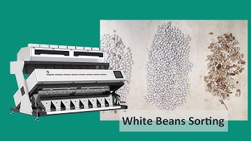 SG White Beans Sorting Machine