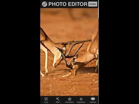 Photo Editor