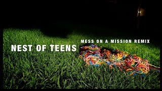 Liars - Mess On A Mission (Nest Of Teens Remix)