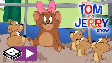 The Tom and Jerry Show | 10,000 Hamster Pups | Boomerang UK