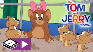 The Tom and Jerry Show | 10,000 Hamster Pups | Boomerang UK