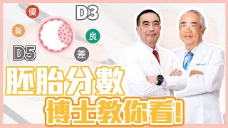 【未來生育小學堂】試管嬰兒 胚胎分數大解密!博士教你秒懂胚胎報告怎麼看! #d3  #ivf