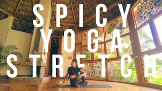 FULL BODY YOGA - 🔥 SPICY 🔥 At Home Yoga Stretch for Flexibility & Tension Relief  || 25 mins