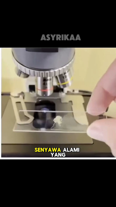 The reason why our mouths get itchy after eating pineapple