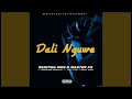 Dali Nguwe by Master KG and Wanitwa mos ft Nkozasana Daughter