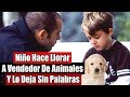 Niño Hace Llorar A Vendedor De Animales Y Lo Deja Sin Palabras