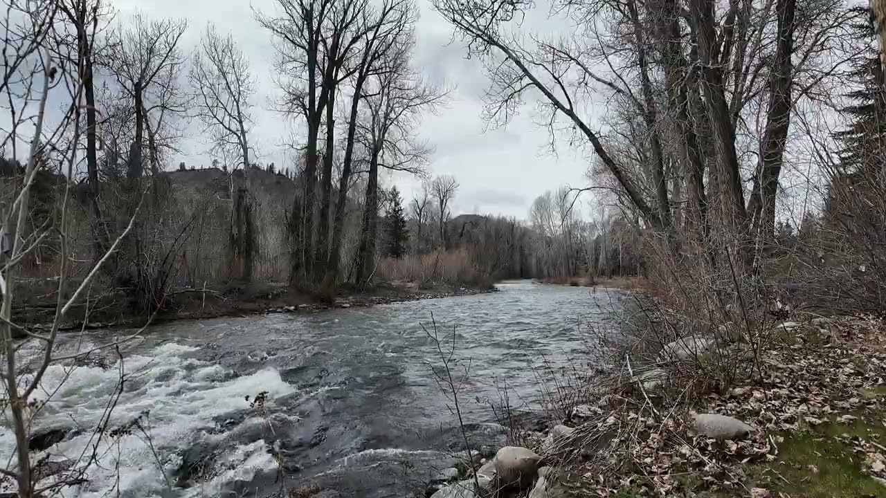 Spring mountain river in the mountains of America