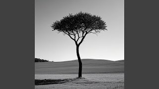 Walau lelah jangan menyerah