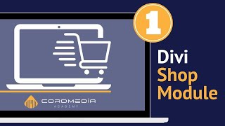 Divi Shop Module | knackige Übersicht der Module in Divi