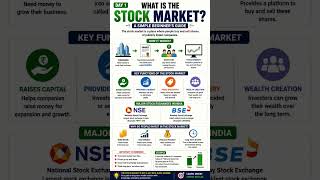 What is the Stock Market? Beginner's Guide in 15 Seconds