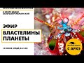 Детский эфир "Властелины планеты" в рамках рубрики "Неурочные беспозвоночные"| Вадим Марьинский