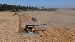 Wheat Harvest 2018