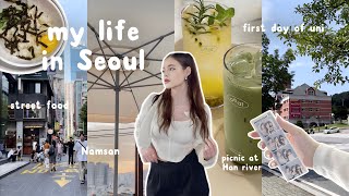 🎧✨My life in Seoul: picnic at Han river, first day of uni, Namsan, street food, shopping & friends