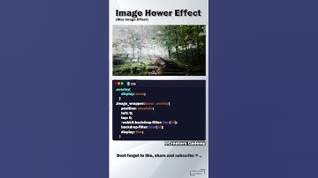 Blur Effect Image Hover In CSS | Quick Guide
