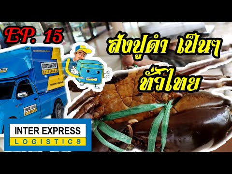 EP.15  ส่งปูดำแบบเป็นๆ ส่งอาหารทะเล ทั่วไทยกับ Inter Express