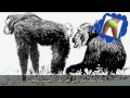 Dennett Philosophy in Persian.