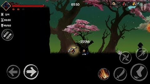 Ninja Raiden Revenge | Lady Ninja | Chapter 3 | Level 2