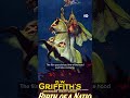 Did The First Ever Blockbuster Revive The Ku Klux Klan Dwhistoryandculture 