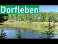 Lockeres Geplauder am Teich. Dorfleben in Sibirien. Russland