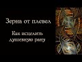 Зерна от плевел. Как работать с душевной раной.