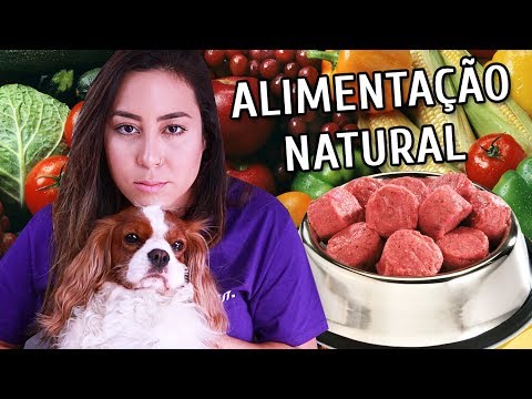 Vídeo: Alimentos Saudáveis para Animais De Estimação