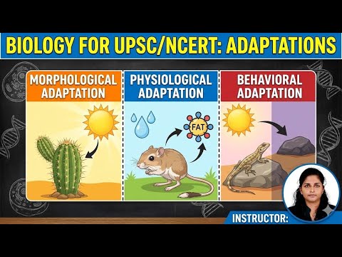 Adaptations Explained | Morphological, Physiological & Behavioral ...