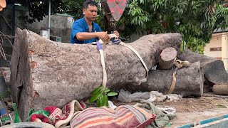 Exploiting 1000 Year Old NAPOLEON Ancient Wood Treasure! Perfect Woodworking Skills Will Satisfy You