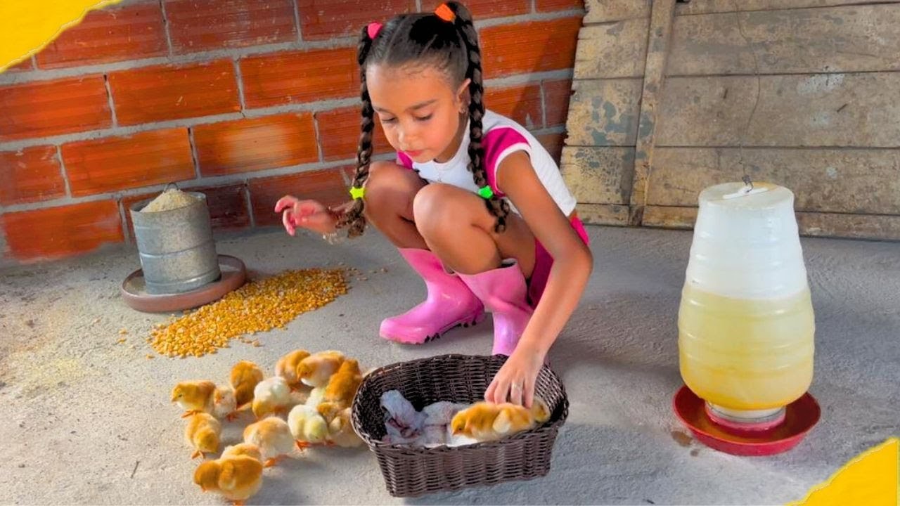 Dia de limpeza no galinheiro para receber novos moradores e colheita na horta | Rotina na roça