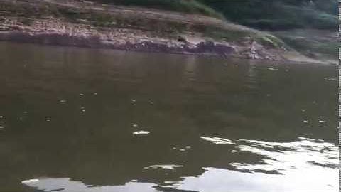 Đi thả lưới bắt cá sông đà mùa nước cạn || Hùng Rambo 26 TV