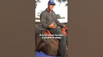 Quick Tips On Approaching An Obstacle While Riding! Part 8! | The Horse Guru - Michael Gascon