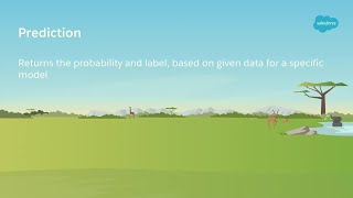 Einstein Platform Services Overview