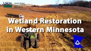 Wetland Restoration in Western Minnesota with the Cook Waterfowl Foundation