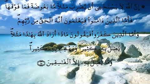 سورة البقرة الشيخ الدوكالي
