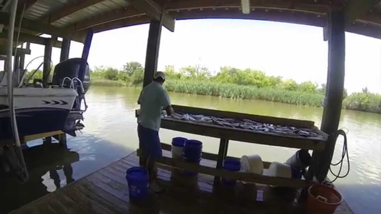 Dularge Charter Trip with CAPT. Travis Lovell