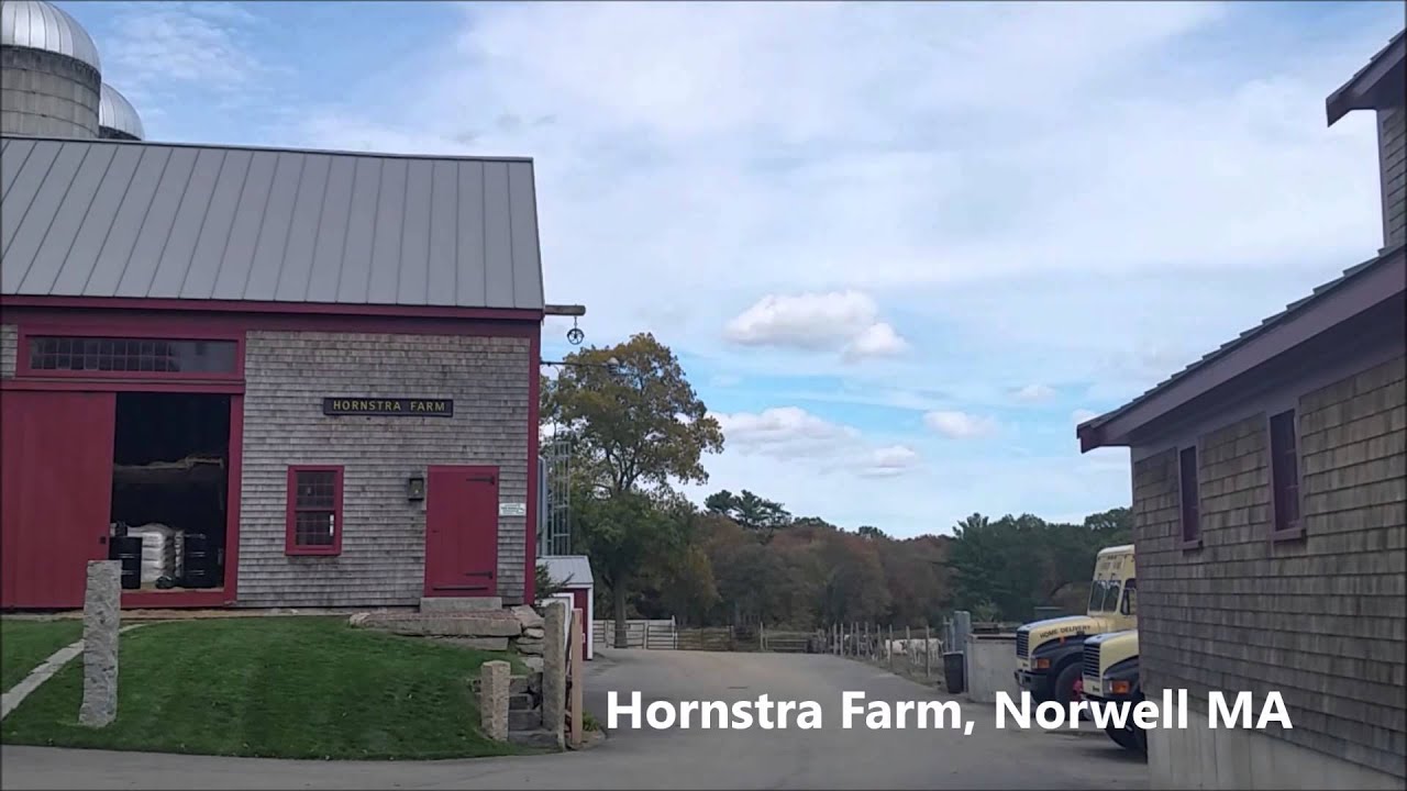 Hornstra Dairy Farm Norwell MA YouTube