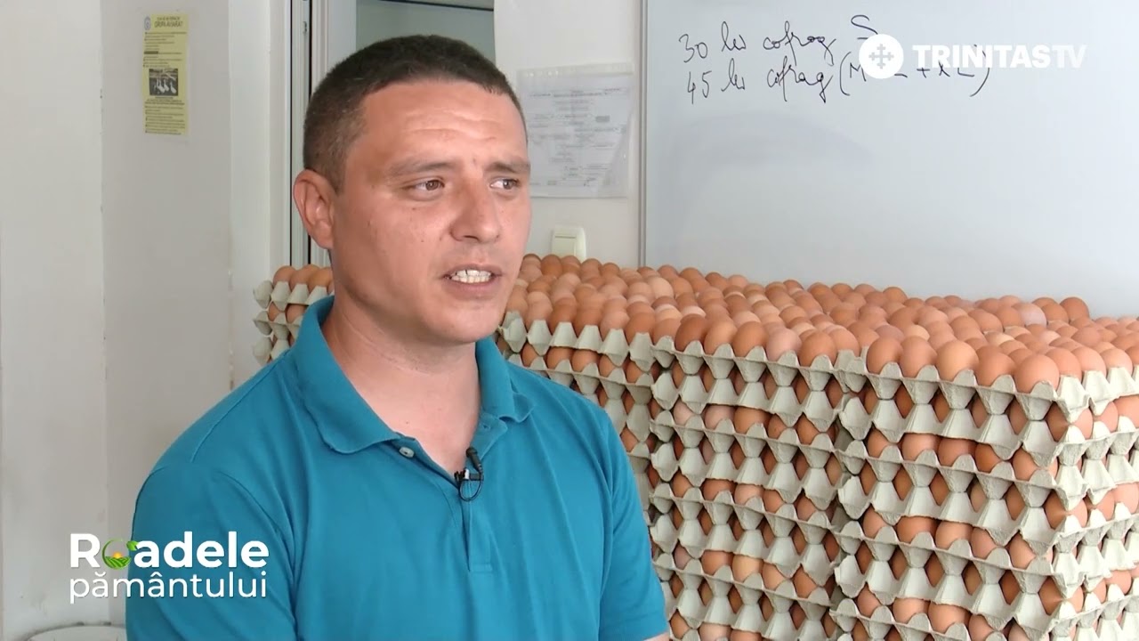 🐔 Așa arată o fermă de găini ouătoare crescute în sistem ecologic din județul Călărași