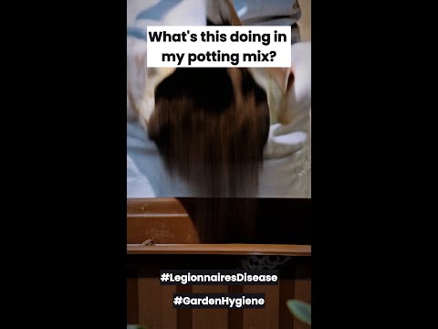 What S In Your Potting Mix