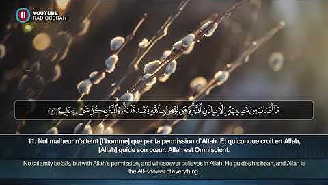 Sourate At Taghabun - Hassan Mahmoud Al Khouli سورة التغابن حسن محمود الخولي
