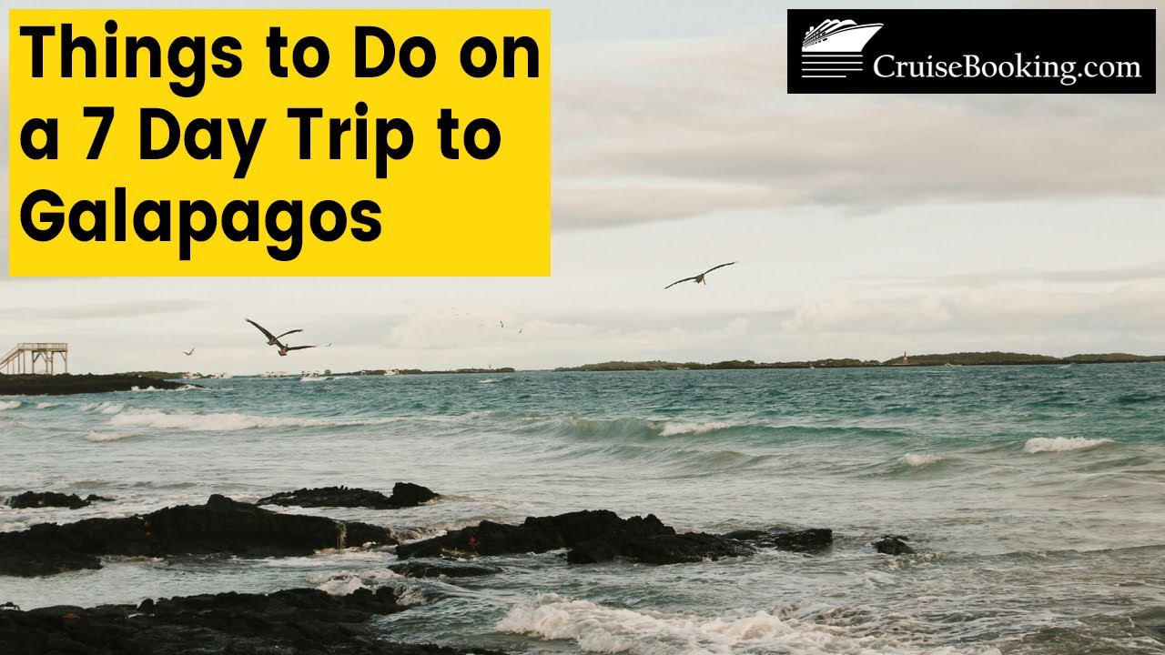 Things to Do on a 7 Day Trip to Galapagos | CruiseBooking.com