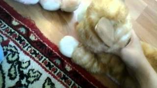 Мир Животных. Серия 1. Странный звук. Ч. 1 Мир Животных. Серия 1. Странный звук. Ч. 1