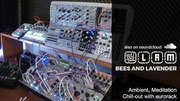 Bees and Lavender: Eurorack Ambient music w/ Morphagene and Nebulae v2