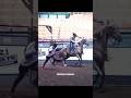 He Challenged a Horse to a Rematch… and WON ⚡💀