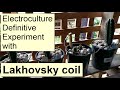 Electroculture - The Definitive Lakhovsky Coil Antenna Experiment