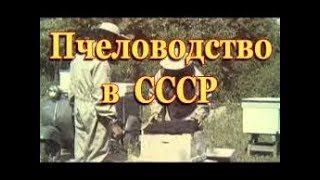 ПЧЕЛОВОДСТВО  СССР 1968 г  СК
