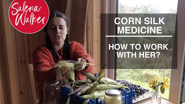 Corn Silk Medicine